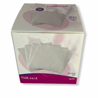 Esthetic wipes absorberende doekjes (Esthetic wipes absorberende doekjes 100st)